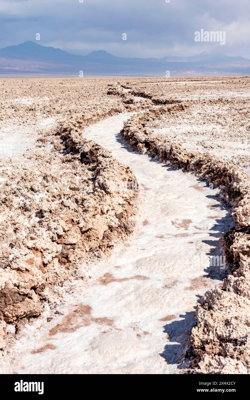 Crosta di sale alla Laguna Chaxa (laguna di Chaxa), San Pedro de Atacama, regione di Antofagasta, Cile. Foto Stock