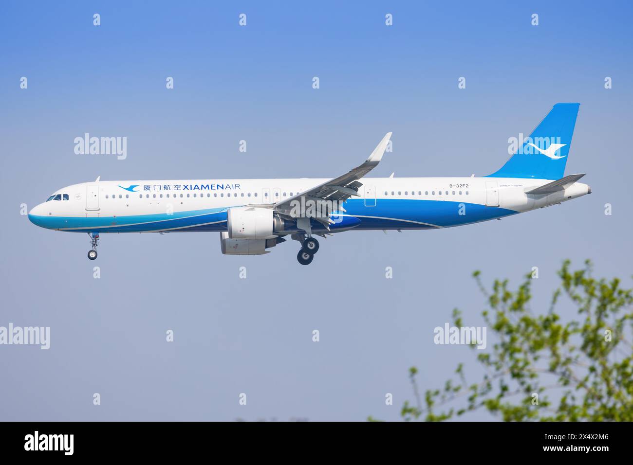 Airbus A320 dagli aerei di linea Xiamen all'aeroporto di Shanghai Hongqiao in Cina nell'aprile 2024 Foto Stock