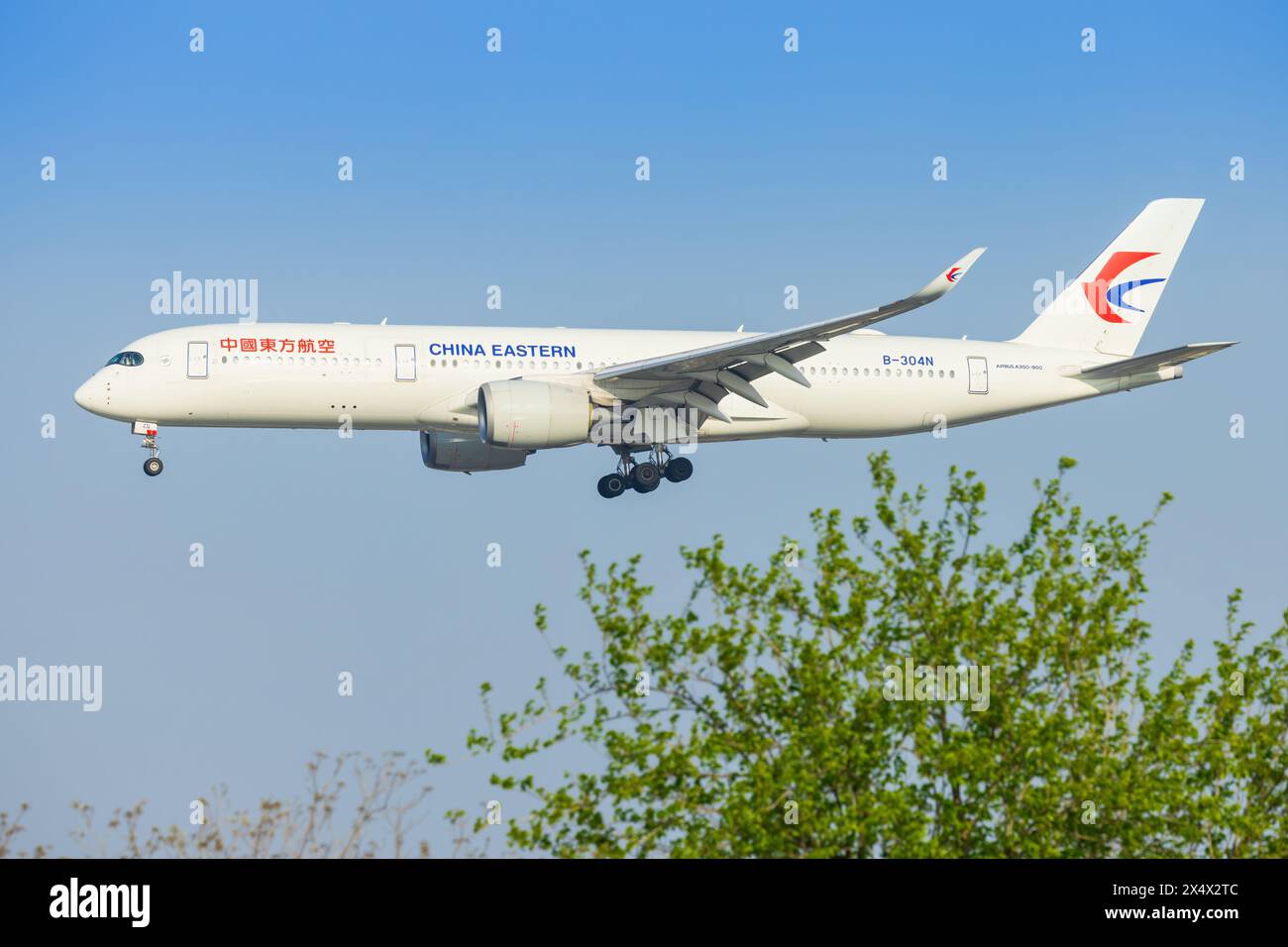 Boeing A 350 da aerei di linea cinesi presso l'aeroporto di Shanghai Hongqiao in Cina nell'aprile 2024 Foto Stock