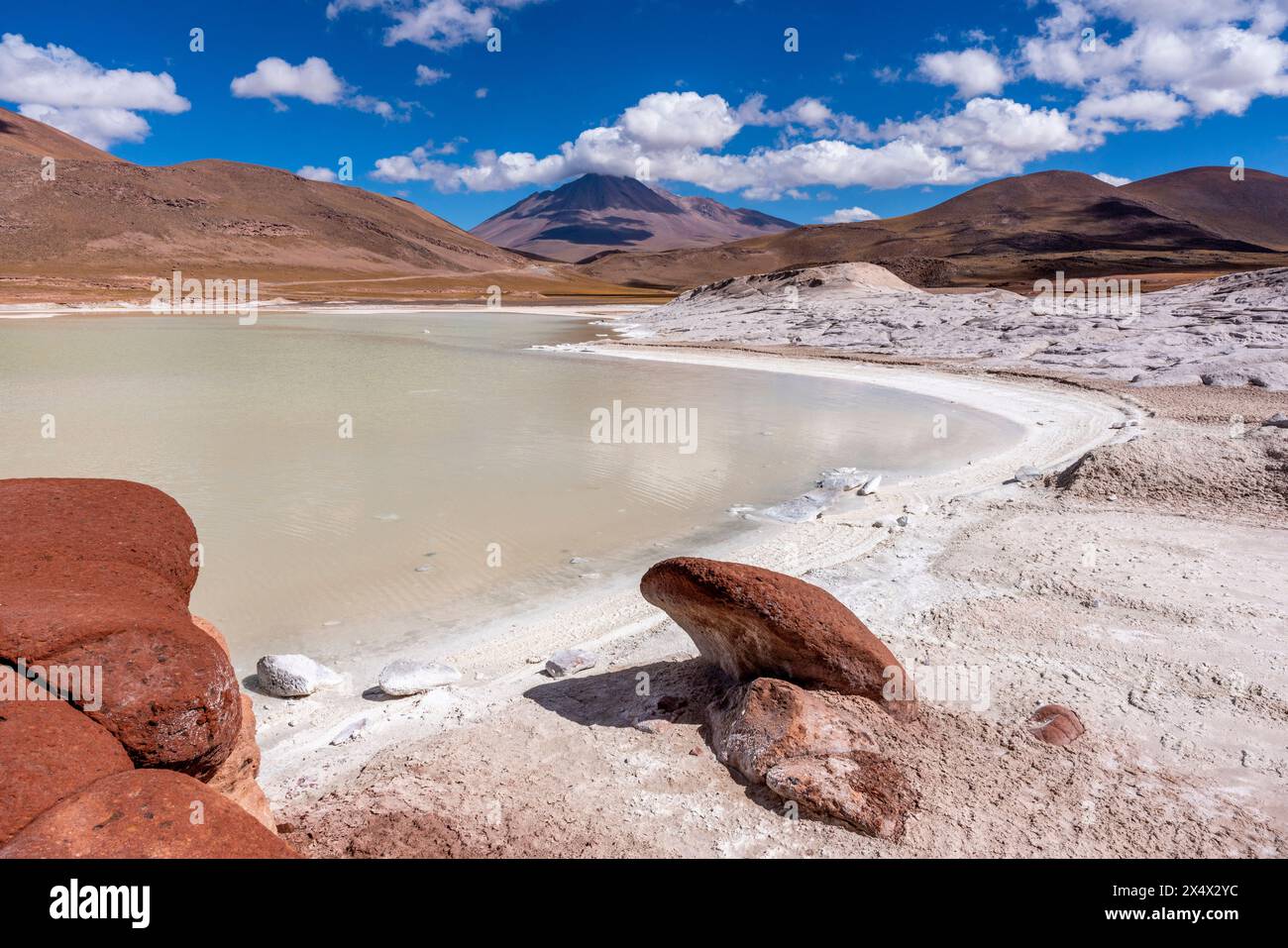 Salar de Aguas Calientes (saline), vicino a San Pedro de Atacama, Cile. Foto Stock