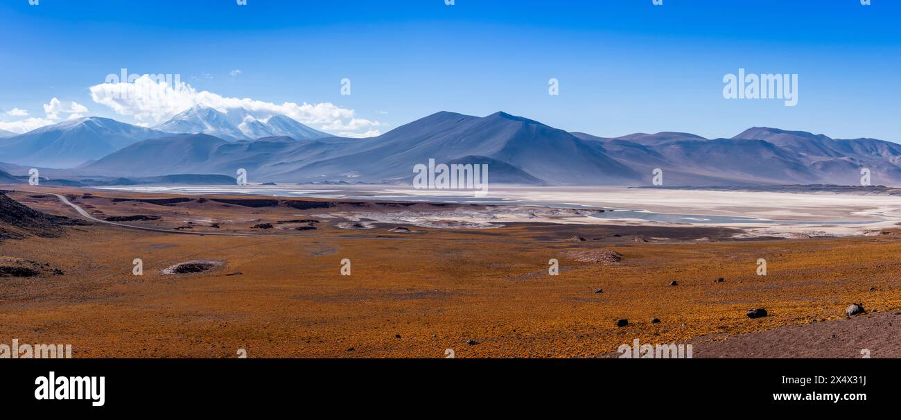 Un'immagine panoramica del Salar de Aguas Calientes, vicino a San Pedro de Atacama, Cile. Foto Stock