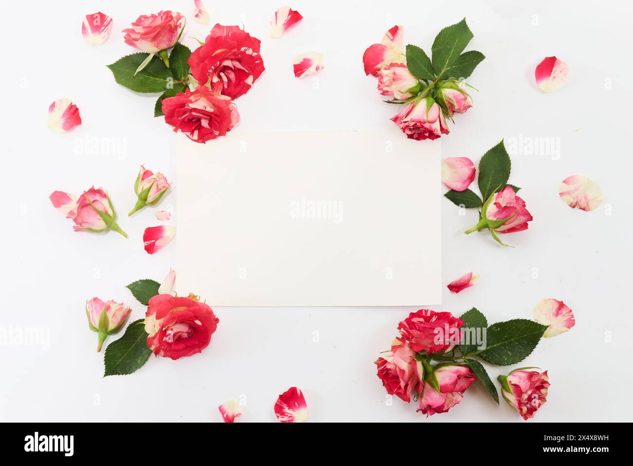 Romantica cornice floreale con spazio vuoto Foto Stock
