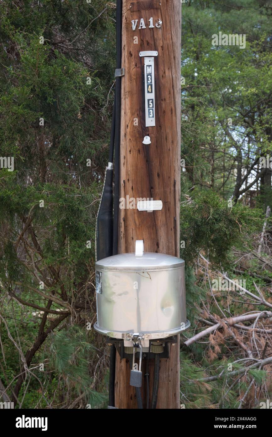 Vaso impermeabile contenente schede di rete per telecomunicazioni, installato su un palo di pubblica utilità nella Virginia rurale. Foto Stock