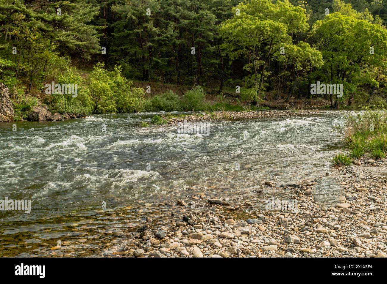 Le turbolente rapide scorrono lungo una costa rocciosa circondata da un vivace paesaggio verde, in Corea del Sud Foto Stock