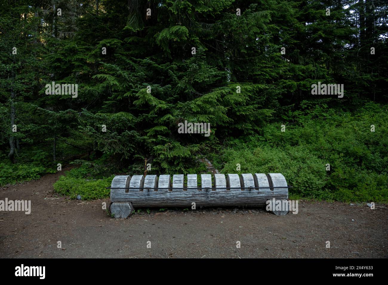 Combinazione di portabiciclette e panchina al Trailhead nel Parco nazionale del Monte Rainier Foto Stock