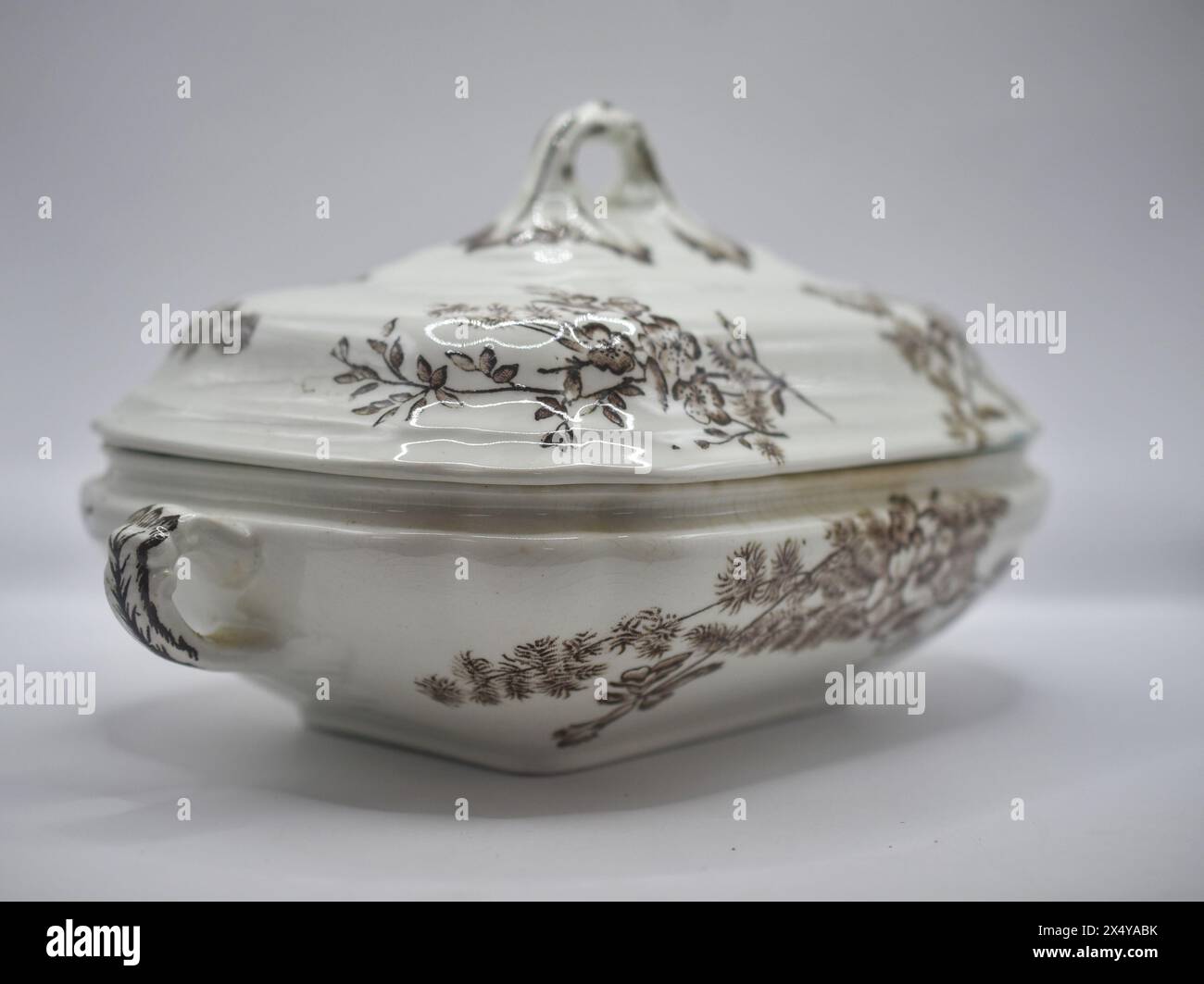piatto da portata in porcellana antica con coperchio Foto Stock