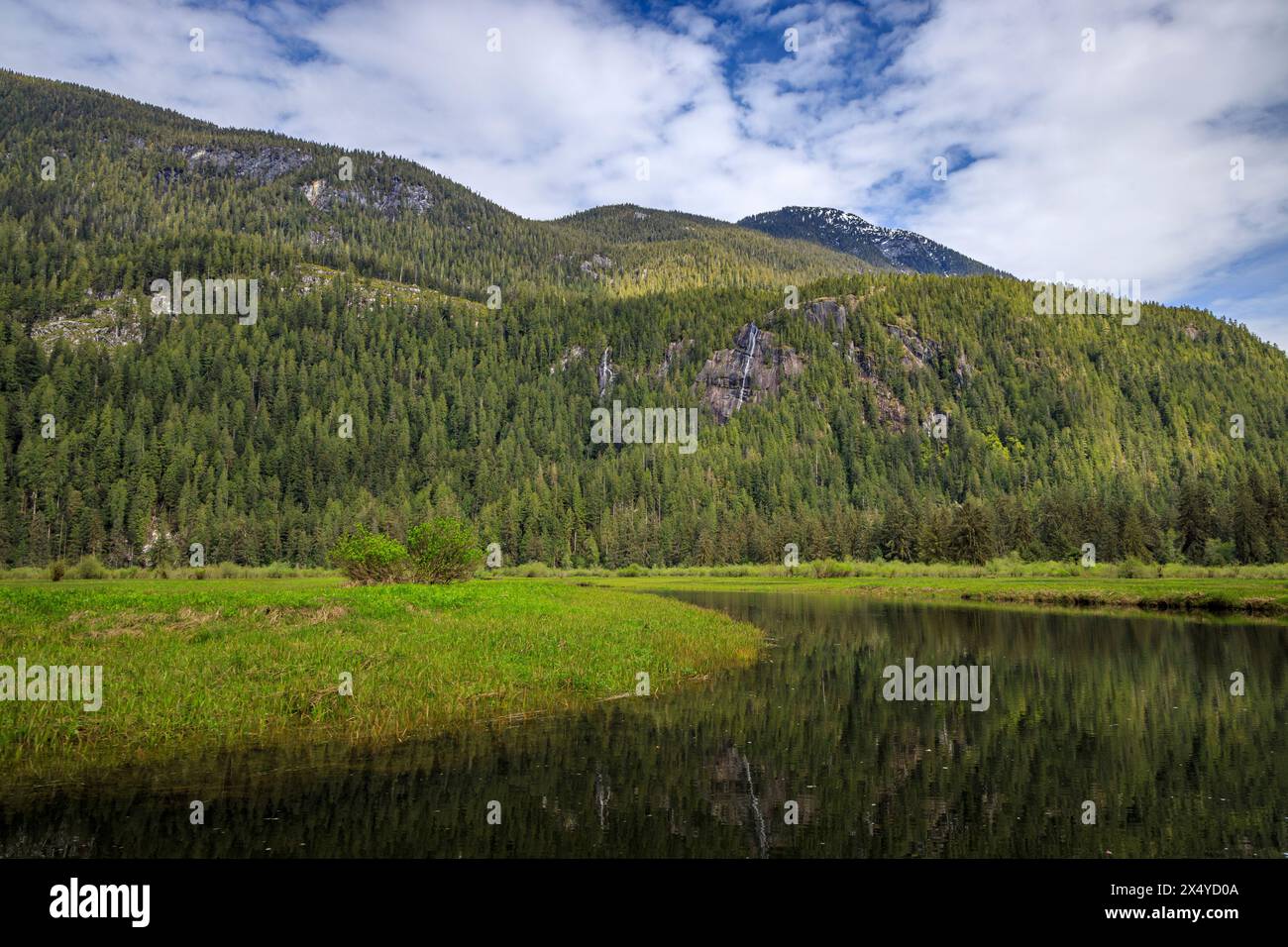 La panoramica Stafford Estuary Conservancy, alla testa di Loughborough Inlet, sulla costa occidentale della Columbia Britannica. Foto Stock