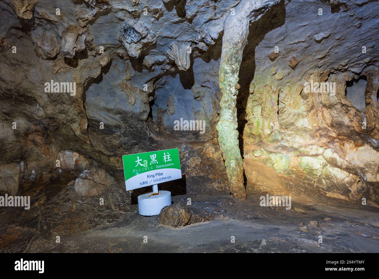 Stalattite chiamata "King Pillar" all'interno della grotta di Akiyoshido. Parco quasi nazionale di Akiyoshidai. Foto Stock