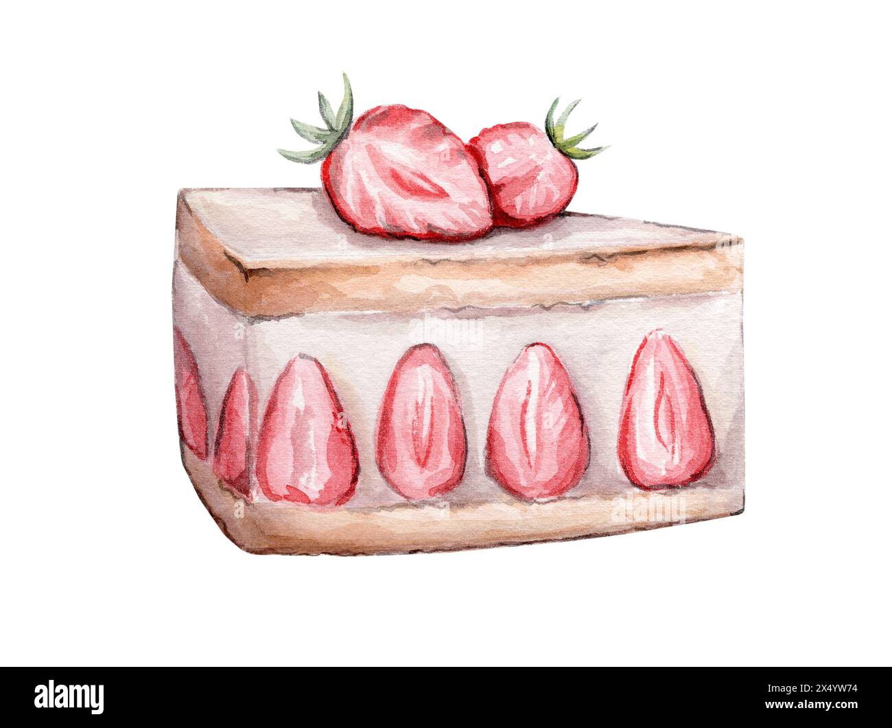 Fetta di torta all'acquerello con fragole Foto Stock