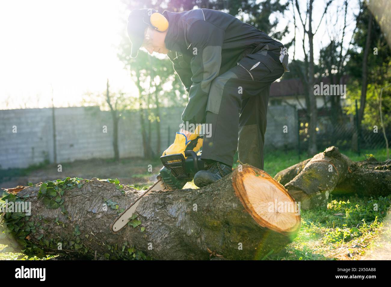 Un uomo in uniforme taglia un vecchio albero nel cortile con una sega elettrica Foto Stock