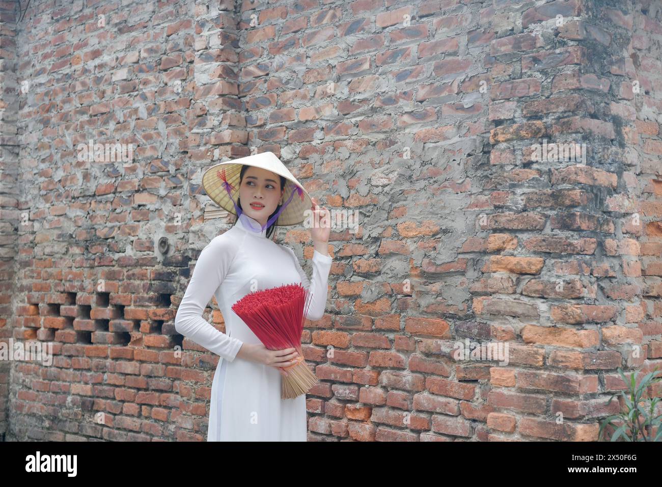 Ritratto di una donna vietnamita in una tradizionale Ao dai in piedi di fronte a un muro di mattoni, Hanoi, Vietnam Foto Stock