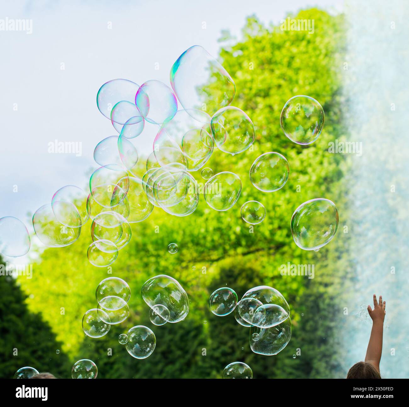 bambini che cercano di far esplodere bolle di sapone, atmosfera festosa, raggi di sole, verde, divertimento, il bambino gioca con le bolle di sapone all'esterno Foto Stock