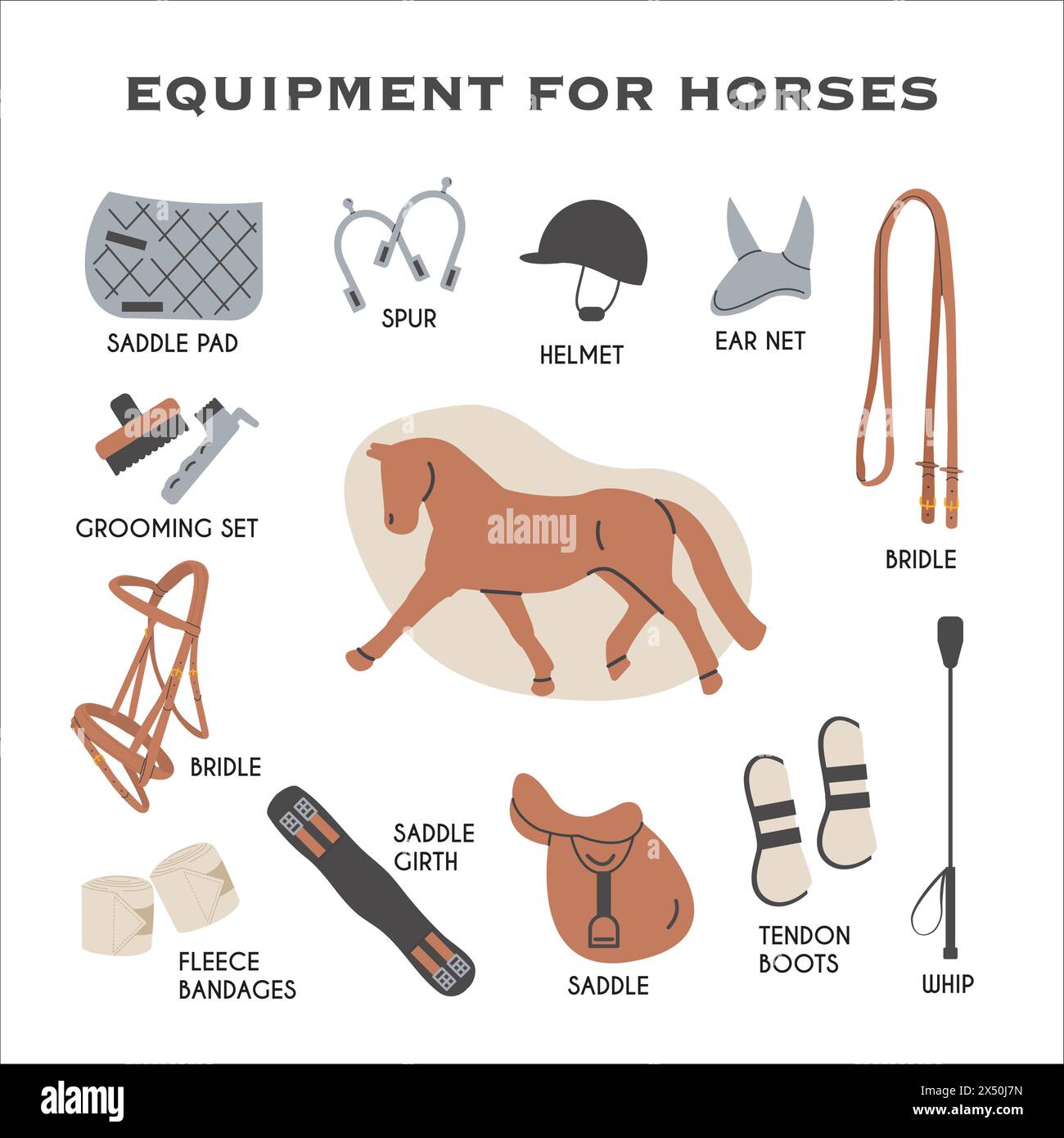 Scheda didattica infografica sull'attrezzatura per cavalli. Icone Horse Riding Tack and Gear in uno stile moderno e alla moda. Illustrazioni disegnate a mano per equine Sports Illustrazione Vettoriale