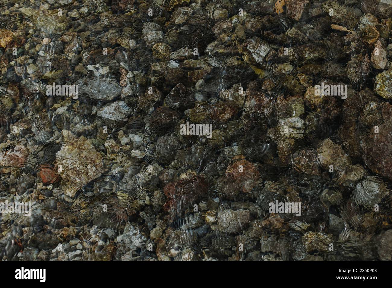 Ciottoli sott'acqua sul fondo di un fiume di montagna. Sfondo in pietra naturale. Foto Stock