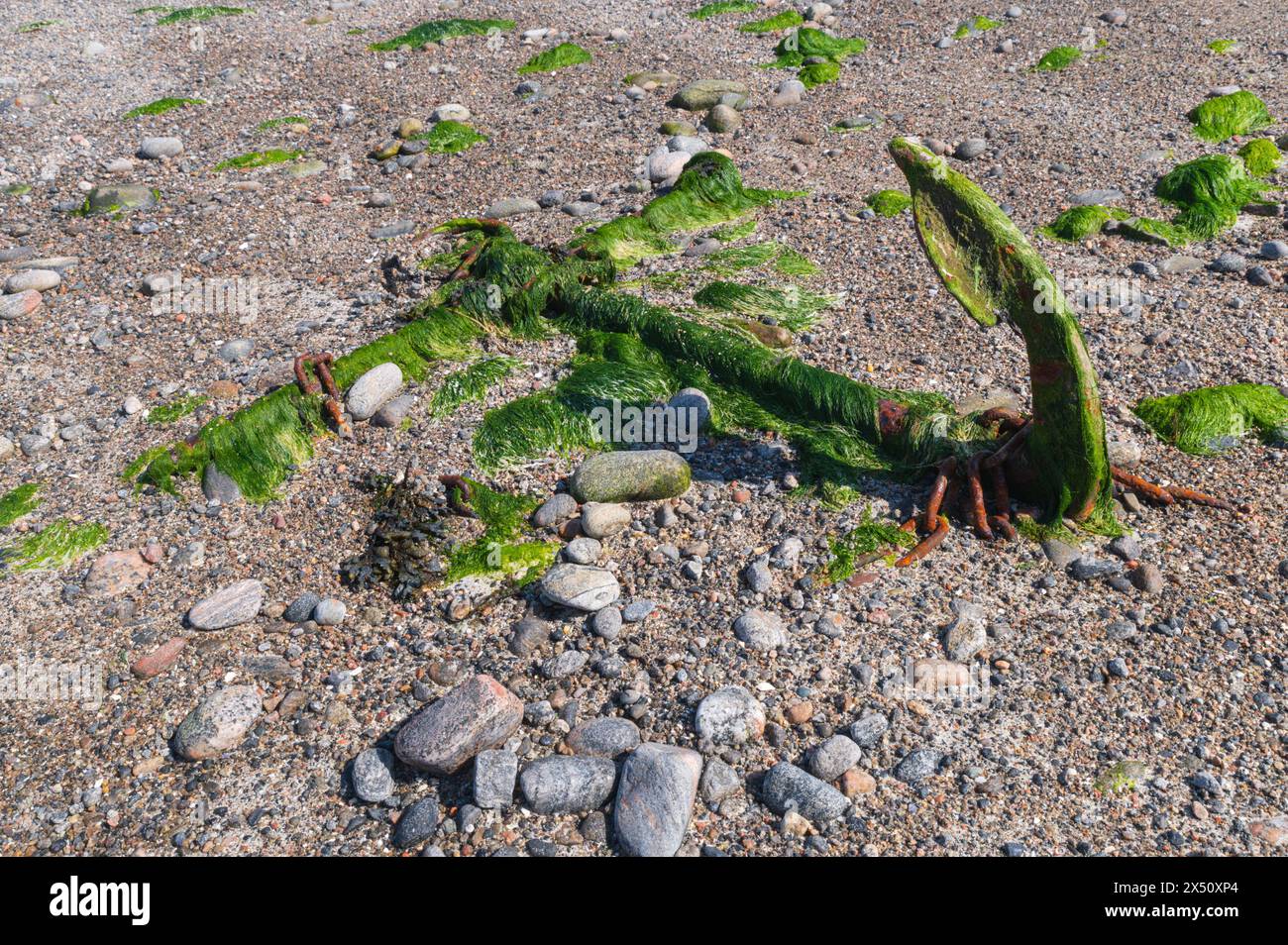 Vecchia ancora sepolta sulla spiaggia di Vatersay, in Scozia. Foto Stock