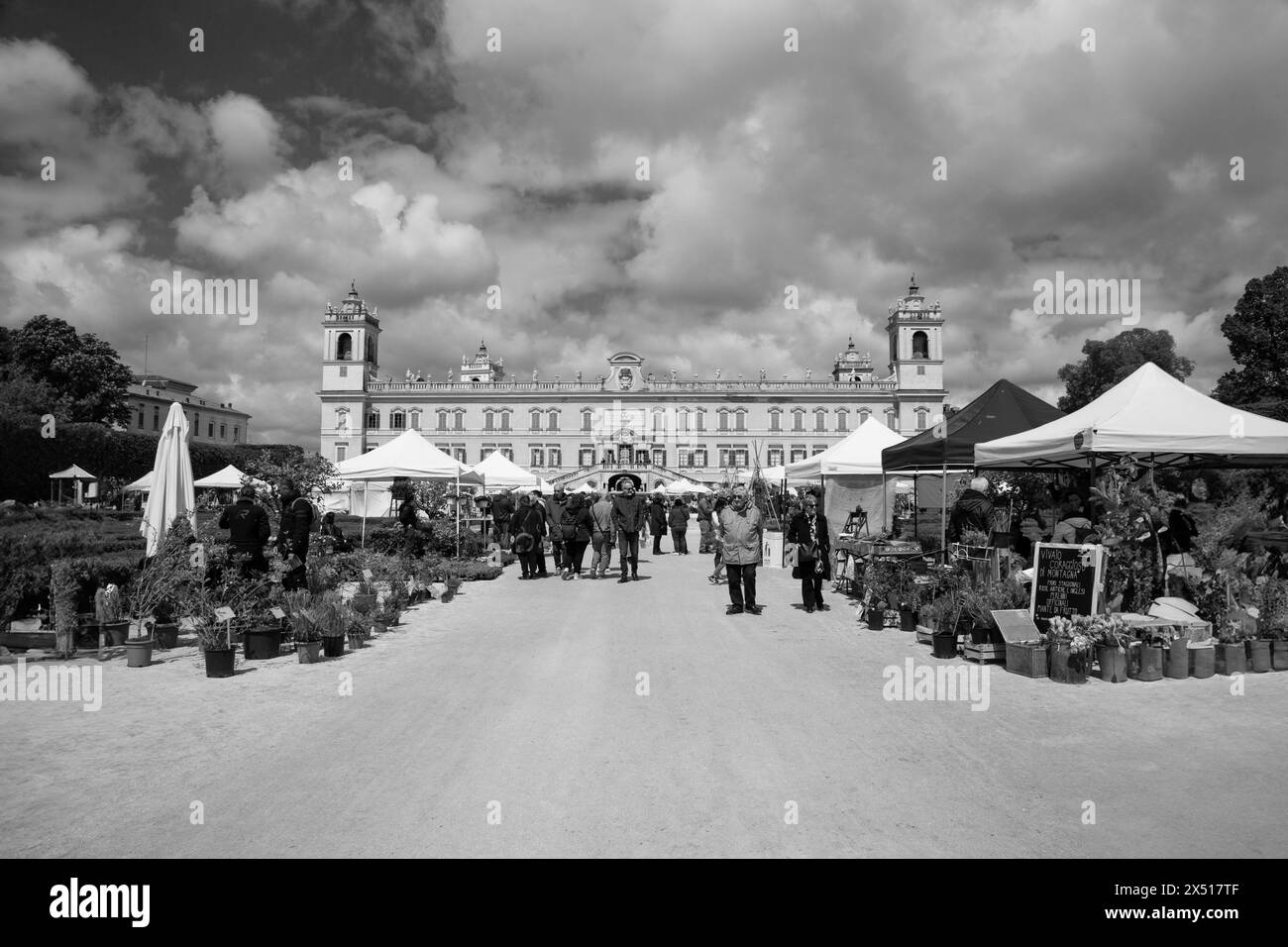 La mostra annuale di fiori trasforma il paesaggio di Colorno Reggia, questa fotografia è stata scattata a Colorno, Parma, Italia il 28 maggio 2024 Foto Stock