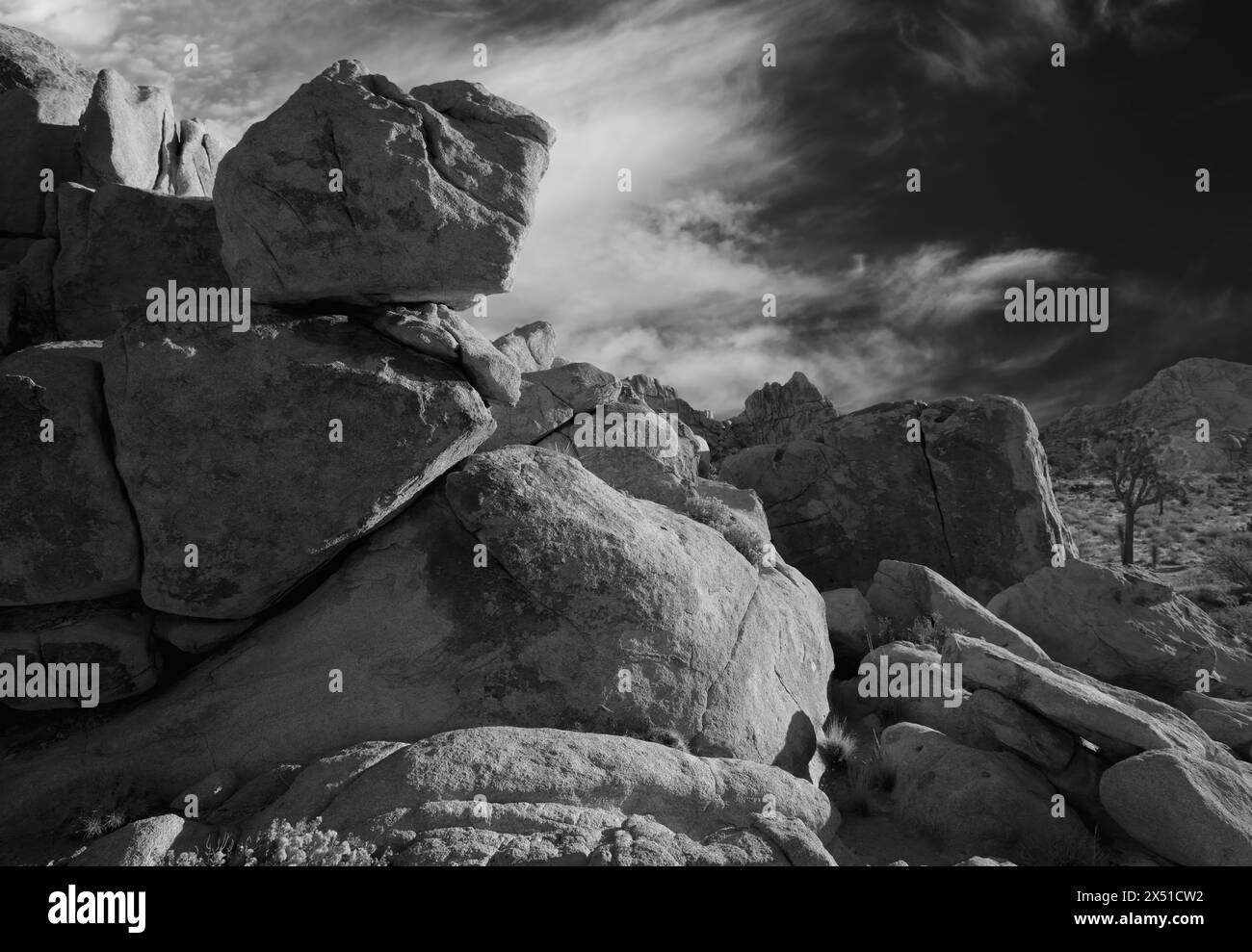 Spettacolare foto in bianco e nero di massi nel Joshua Tree National Park Foto Stock