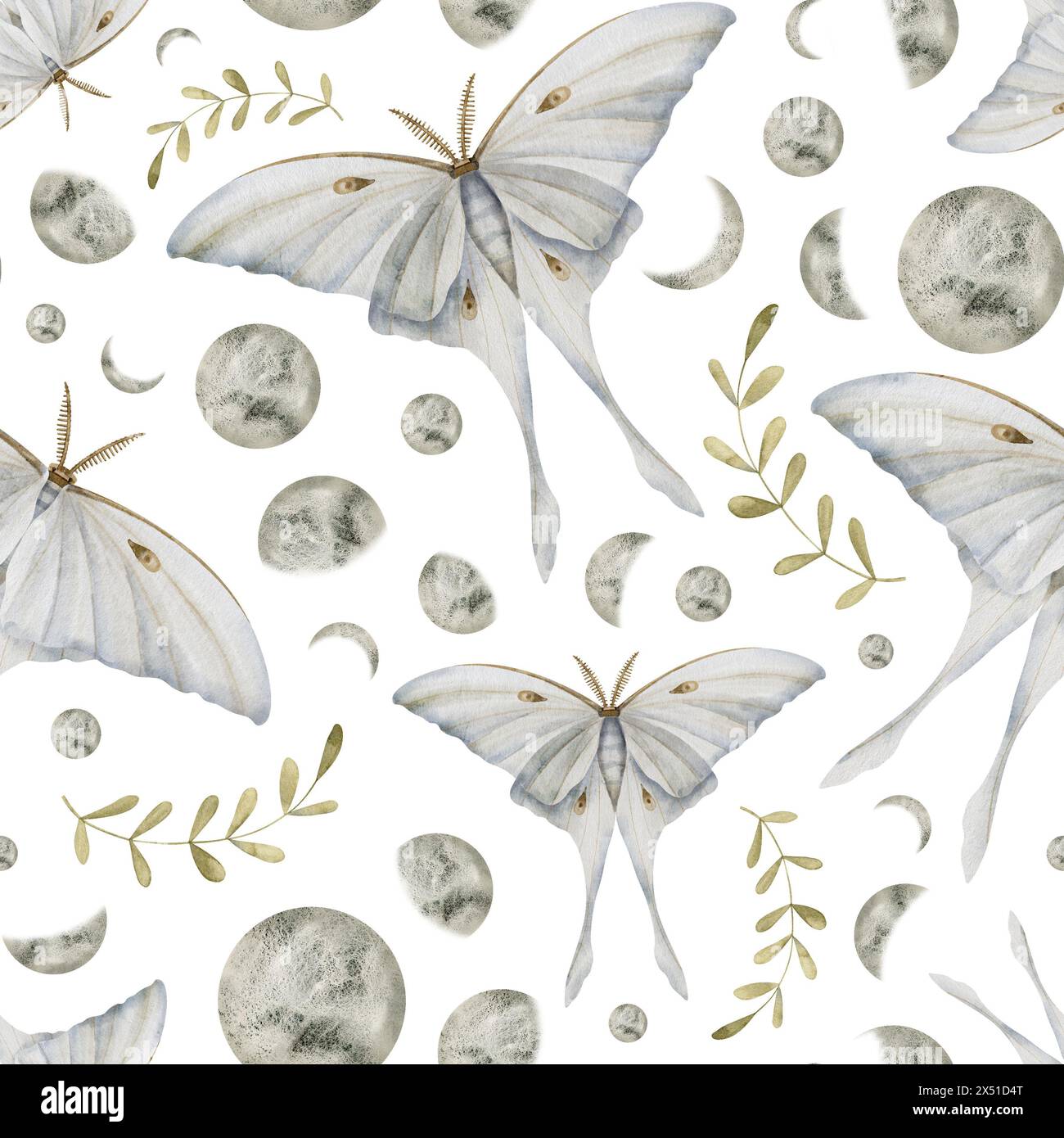 Schema con luna Moth, fasi luna e piante su sfondo isolato. Sfondo magico senza cuciture con insetti mistici e oggetti celesti per un design tessile fantasia o carta da imballaggio esoterica. Foto Stock Schema con luna Moth, fasi luna e piante su sfondo isolato. Sfondo magico senza cuciture con insetti mistici e oggetti celesti per un design tessile fantasia o carta da imballaggio esoterica. Foto Stock