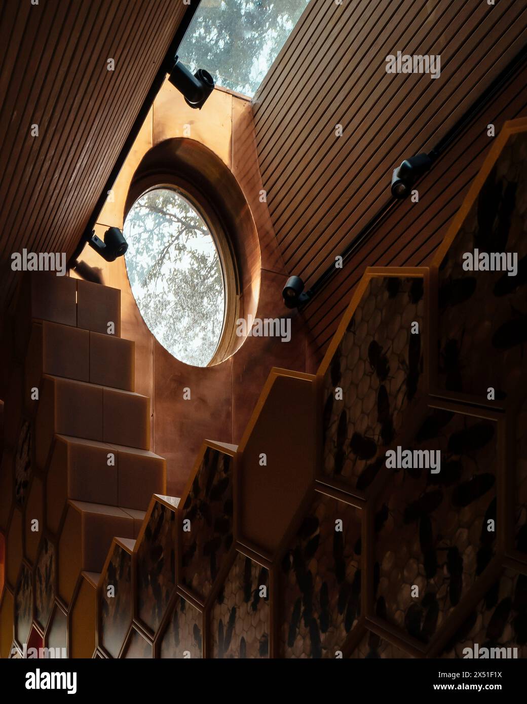 Finestre dell'atrio viste dall'interno con rivestimento in legno, dettagli costruttivi in rame e favo. The Beezantium at the Newt, Bruton, Regno Unito. A. Foto Stock