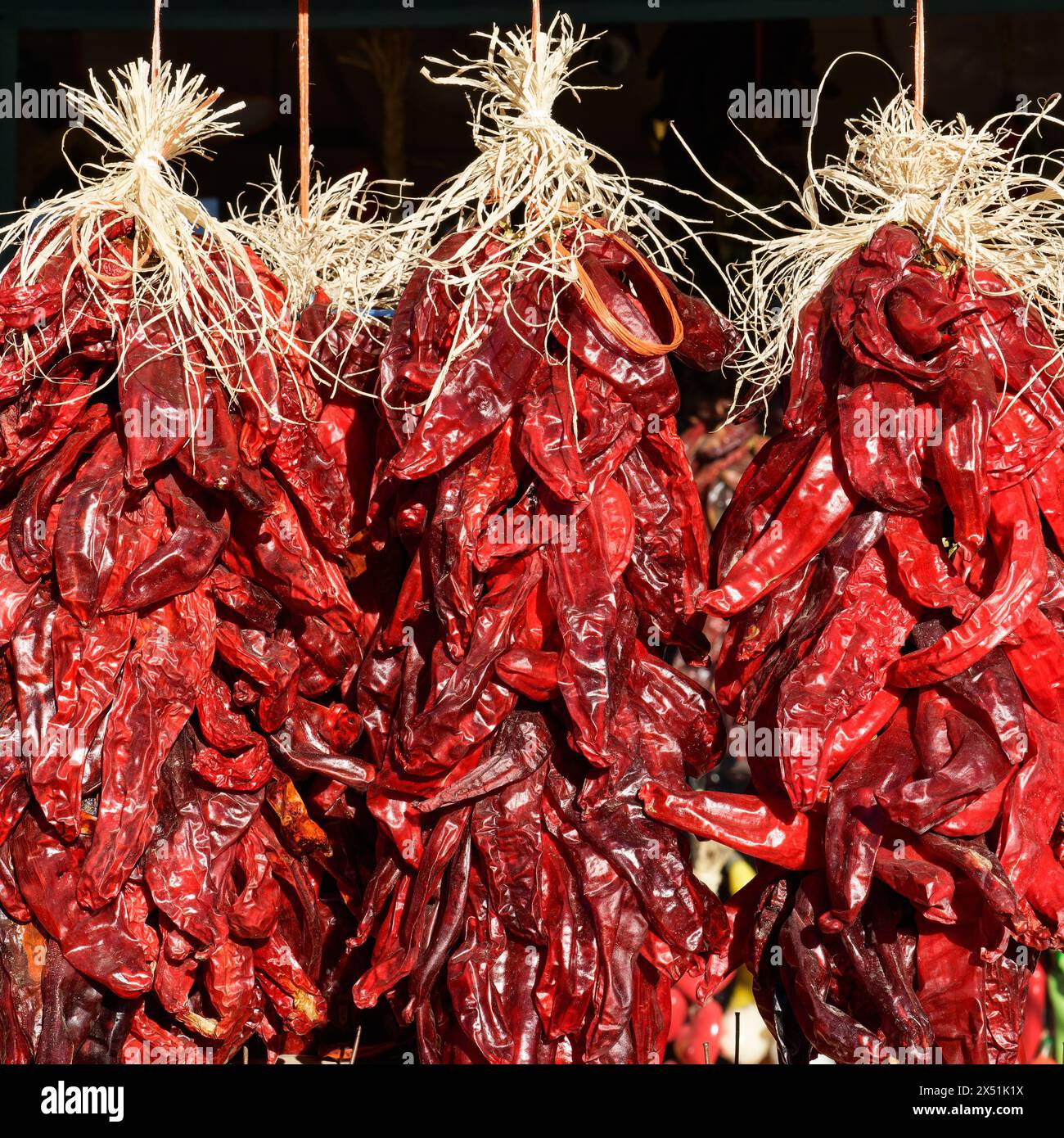 Le ristras cilene di peperoni rossi appese in grappoli al sole. Ristras, spesso usato per la decorazione, si dice che porti buona salute e buona fortuna. Foto Stock
