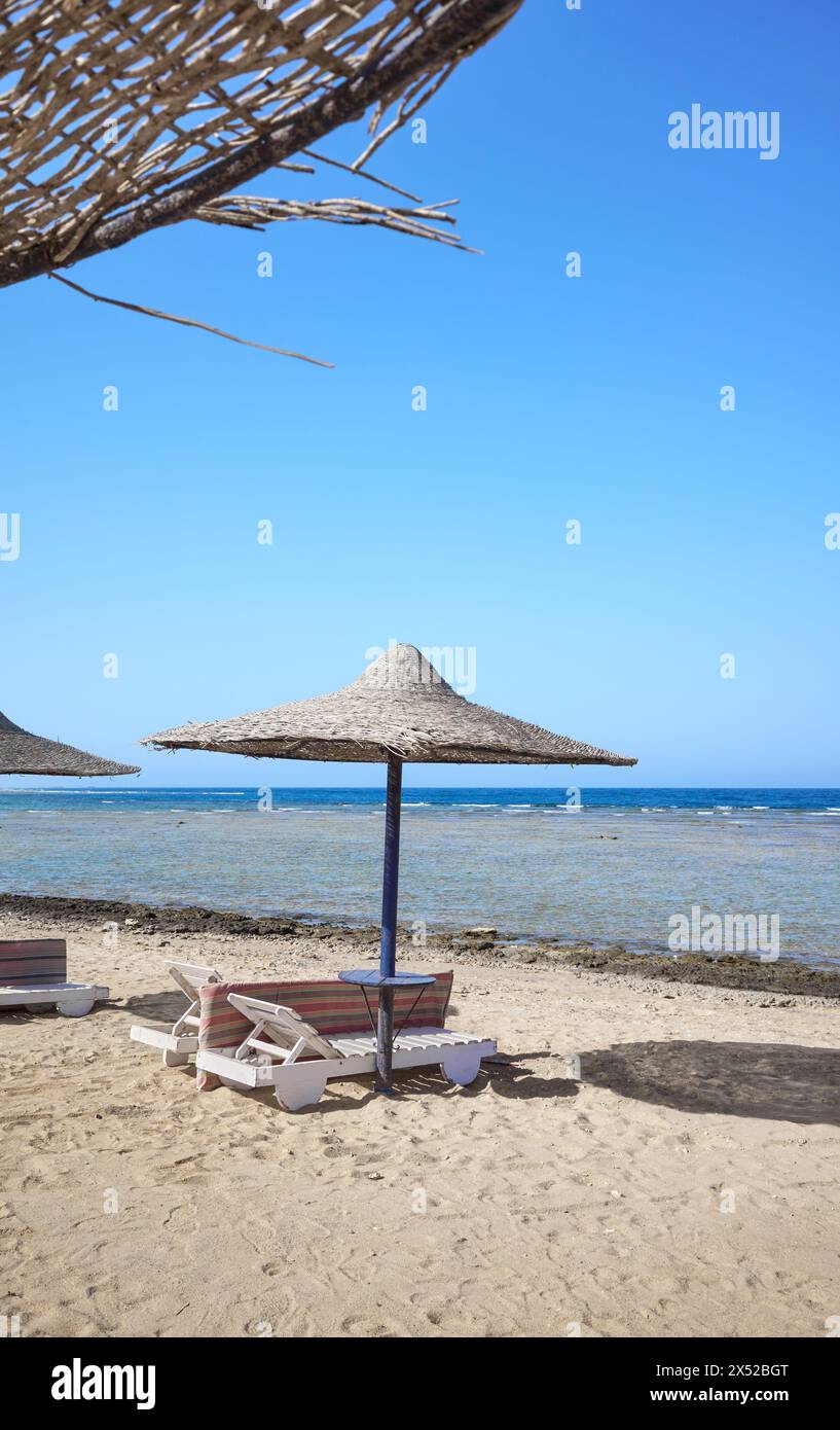 Bellissima spiaggia sabbiosa con lettini e ombrelloni, regione di Marsa Alam, Egitto. Foto Stock