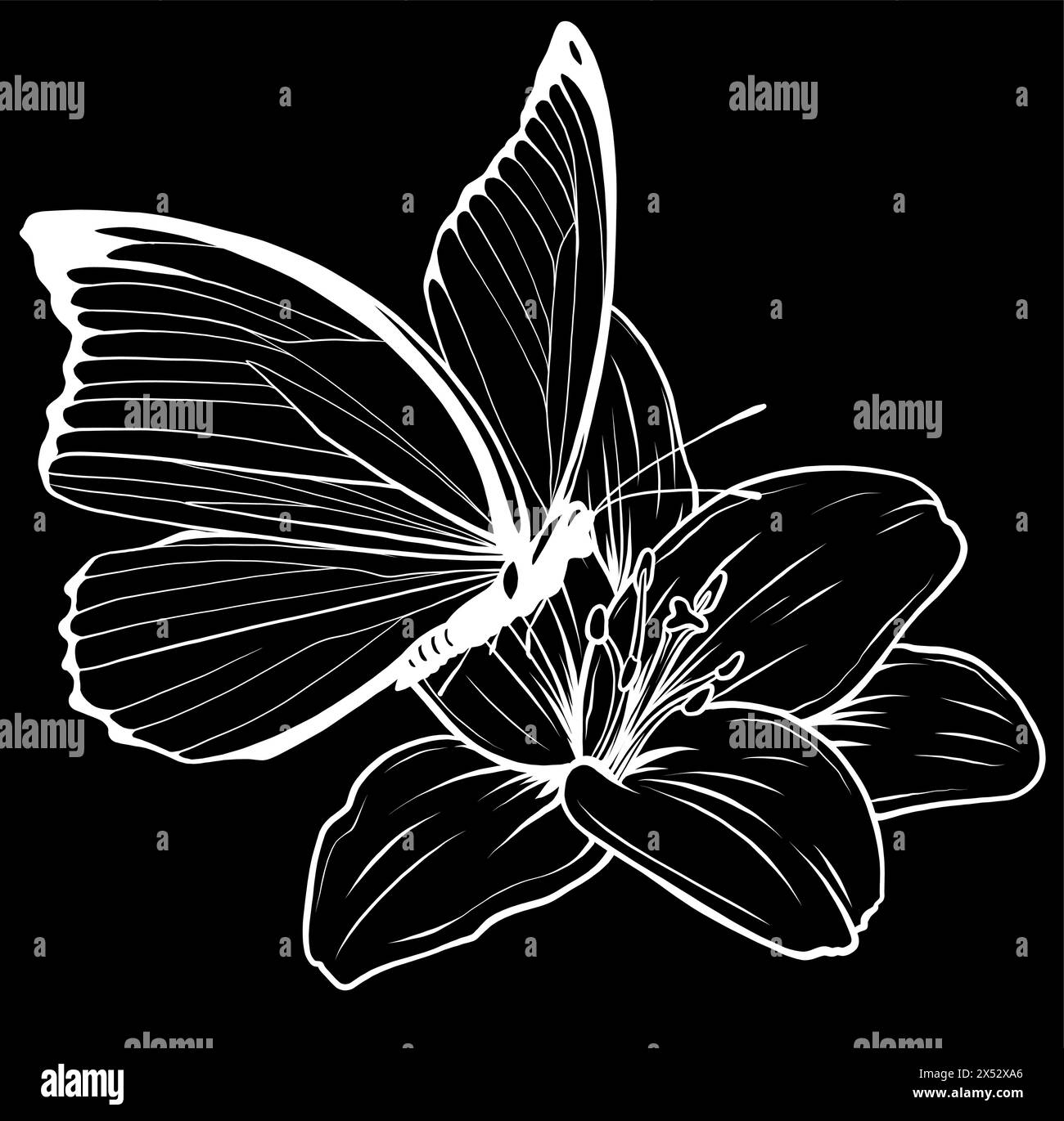 Silhouette bianca di Fiore con farfalla su sfondo nero Illustrazione Vettoriale