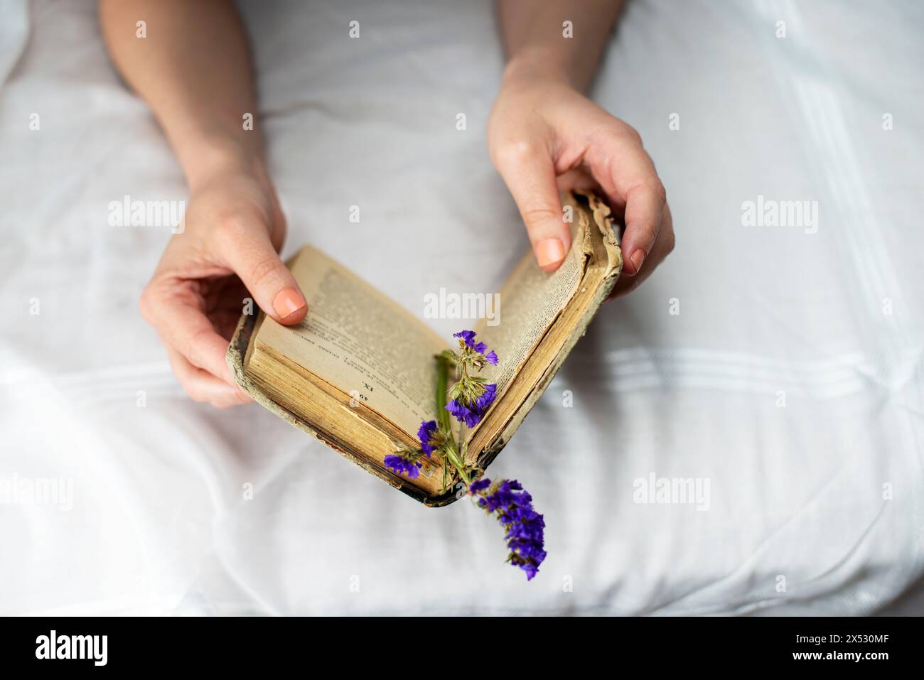Mani di una donna su un letto che legge un vecchio libro Foto Stock