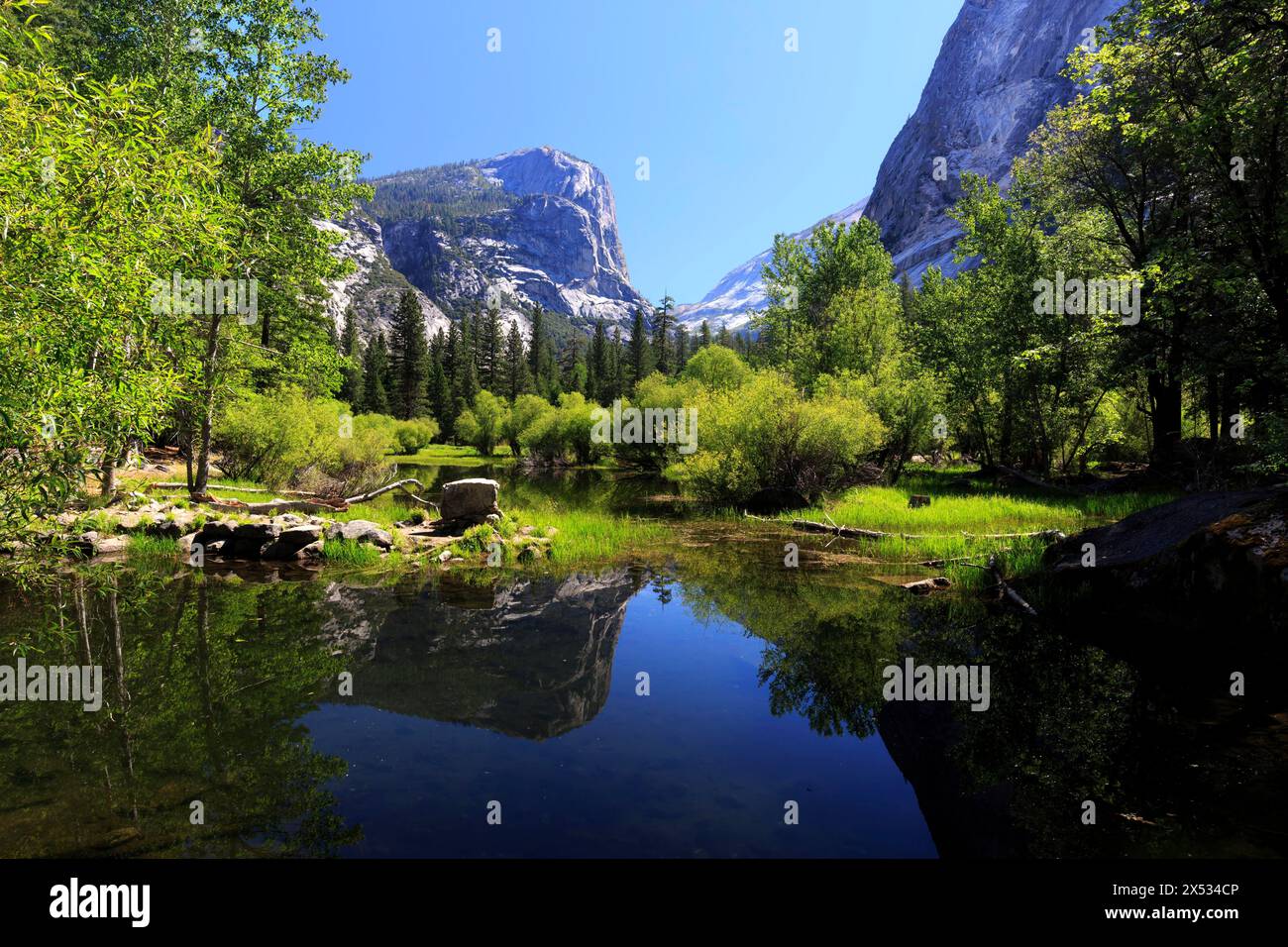 Un lago calmo riflette una montagna boscosa e un cielo azzurro, San Francisco, Nord America, Stati Uniti, Sud-Ovest, California, California Foto Stock