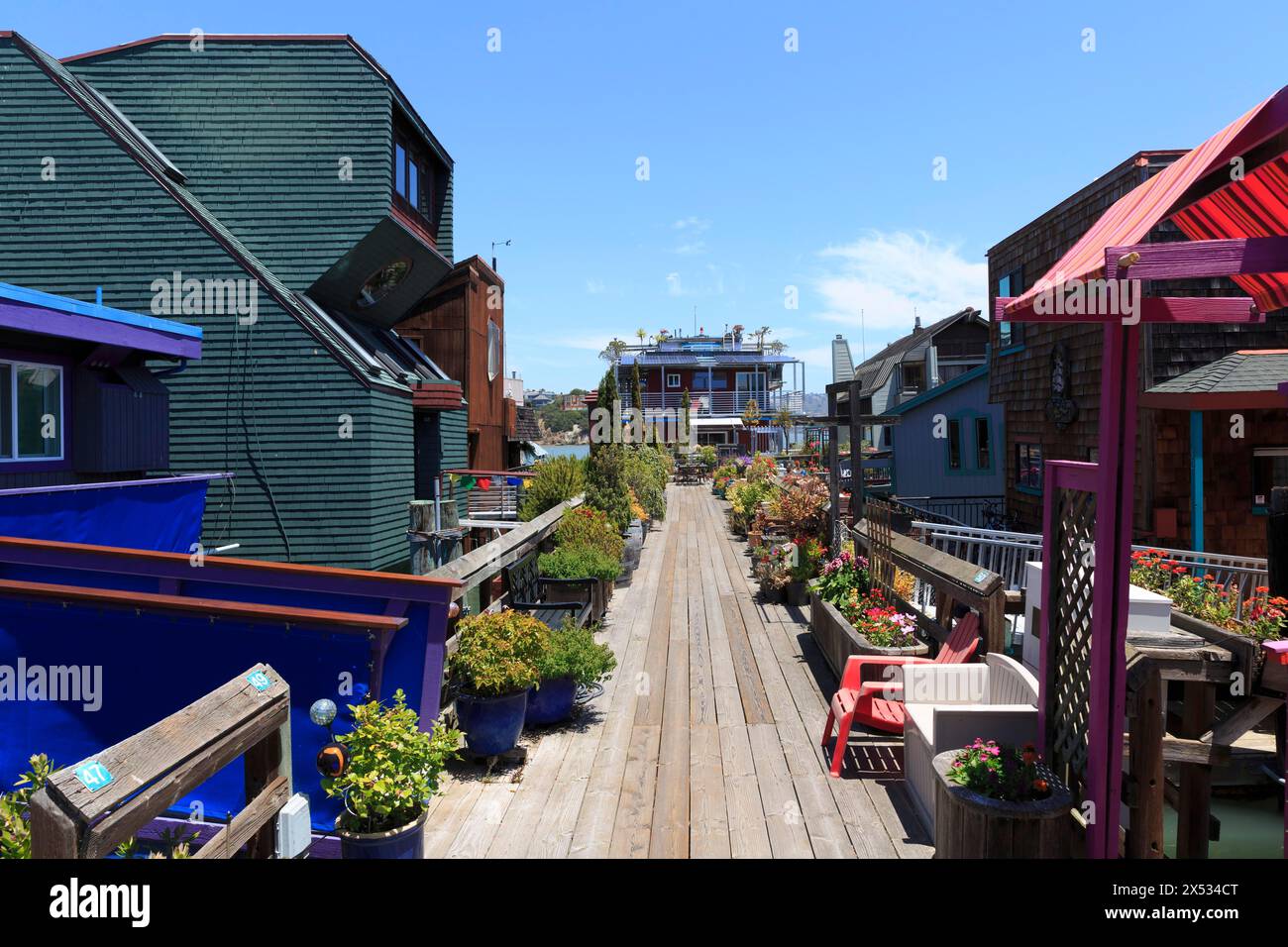Un percorso tra case galleggianti colorate e fiori sotto un cielo luminoso, San Francisco, Nord America, Stati Uniti, Sud-Ovest, California, California Foto Stock