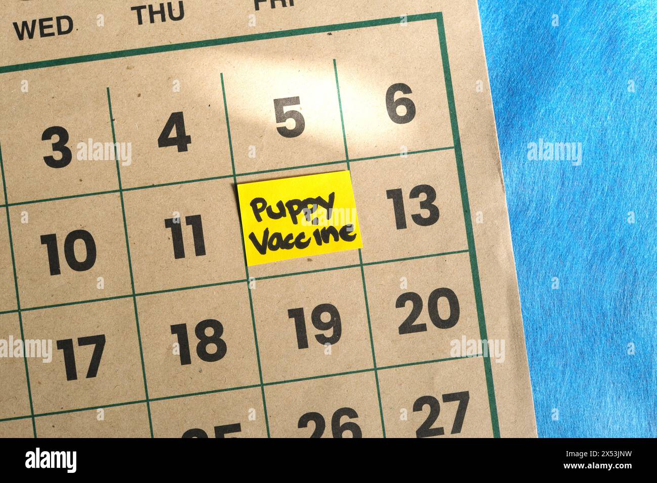 Programma di vaccinazione per cuccioli o cani. Nota di promemoria scritta sul calendario. Foto Stock