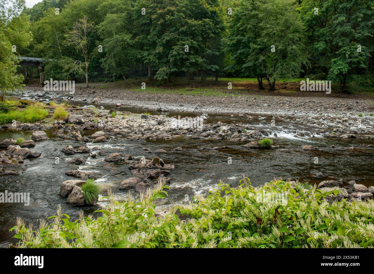 Alla foce del fiume Salmonberry nella contea di Tillamook, Oregon. In primo piano c'è il Nehalem. Foto Stock