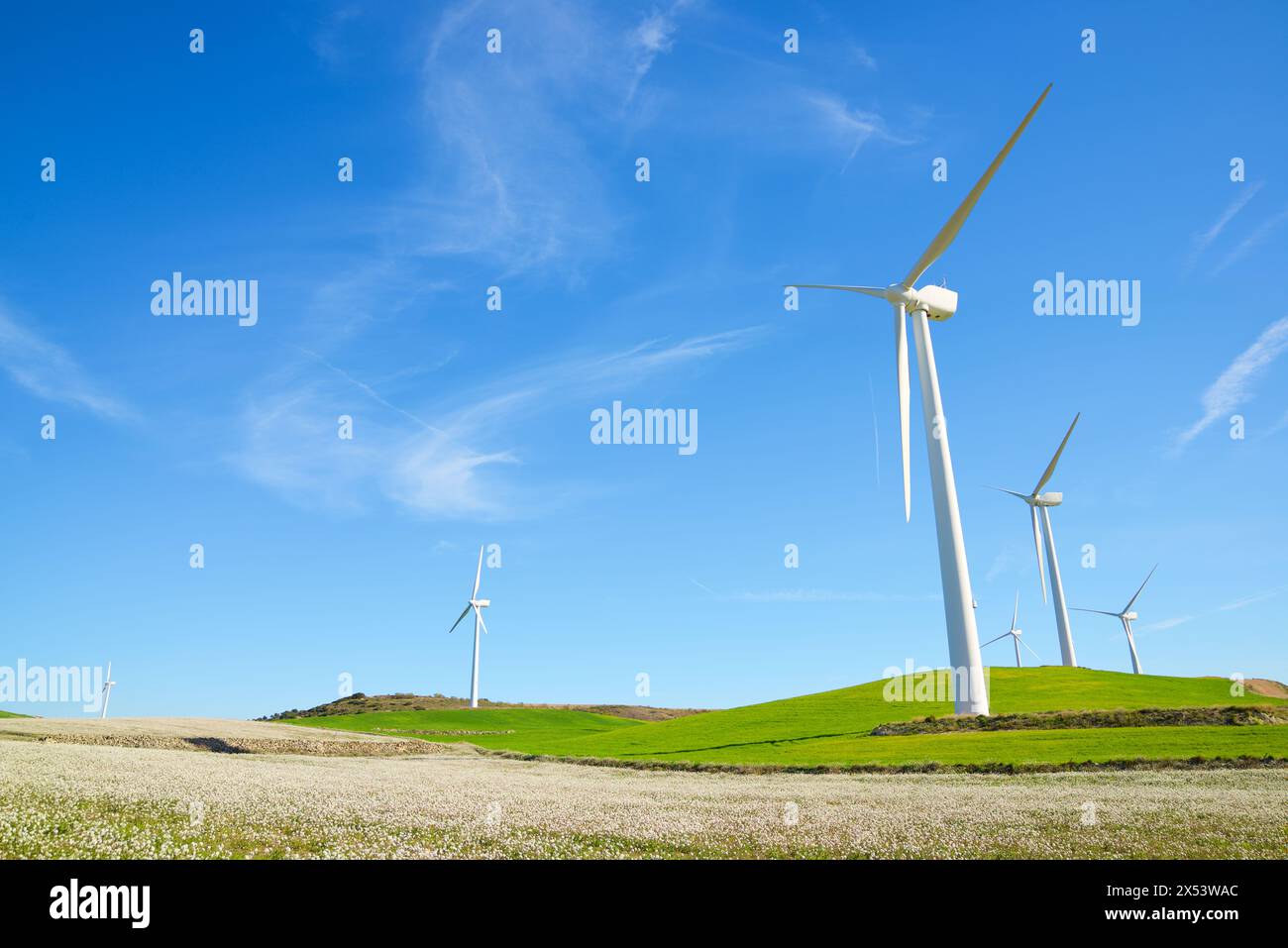 Generatori di turbine eoliche per una produzione di energia elettrica sostenibile Foto Stock