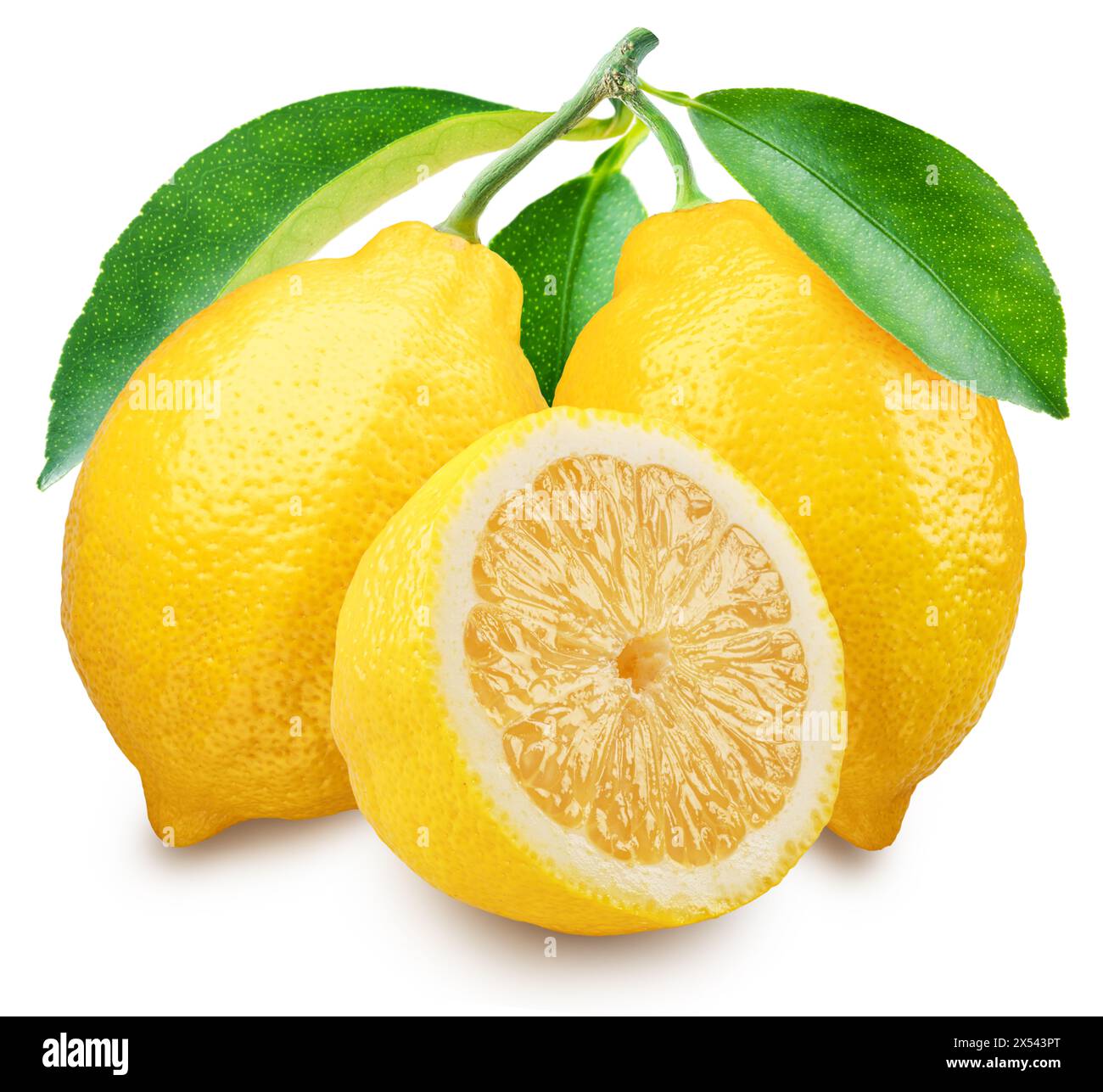 Frutti di limone maturi con foglie di limone su sfondo bianco. Il file contiene il percorso di ritaglio. Foto Stock