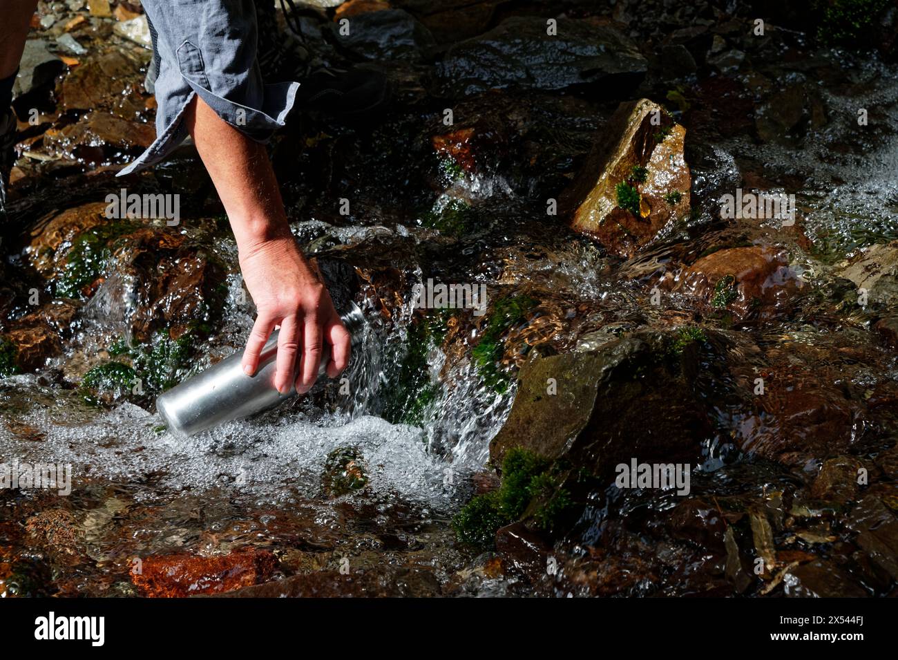 L'acqua scorre sopra le rocce. Un trampolino o un escursionista si appoggia riempiendo una bottiglia d'acqua in acciaio inossidabile proveniente da questa fonte di acqua dolce Foto Stock