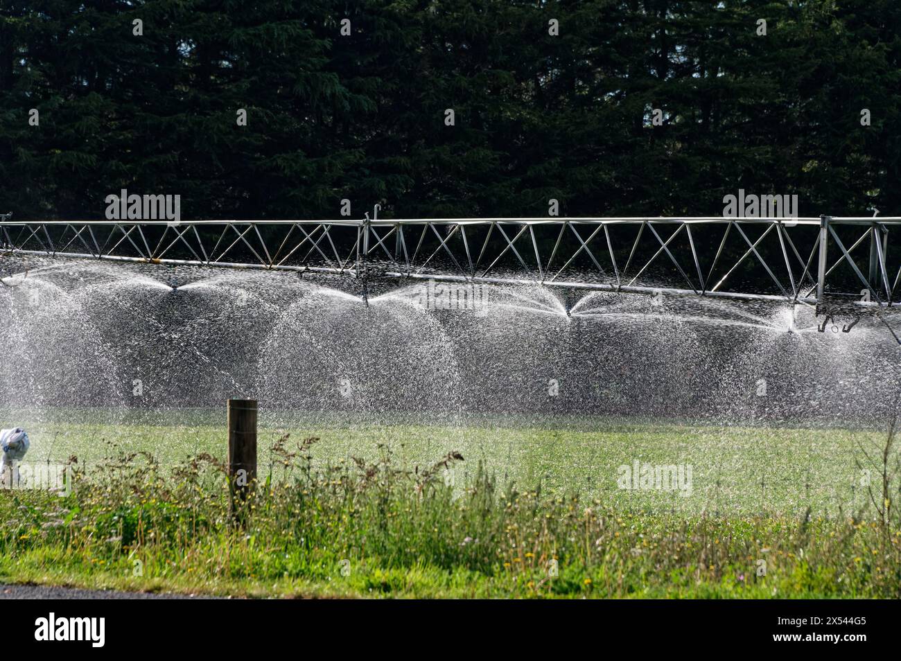 Le testine di irrorazione di un sistema di irrigazione spruzzano acqua attraverso il paddock. Foto Stock