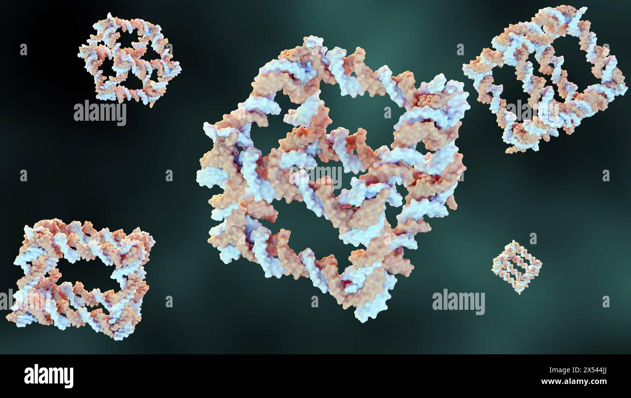 Rendering 3d della costruzione a partire dal DNA di un complesso molecolare covalentemente chiuso simile a un cubo Foto Stock