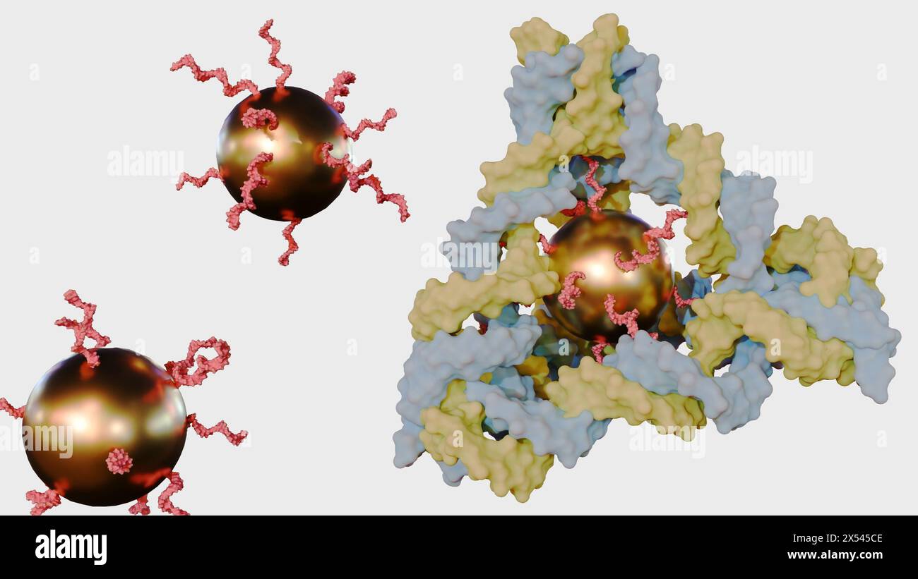 Rendering 3d di nanoparticelle d'oro coniugate all'interno del tetraedro del DNA Foto Stock