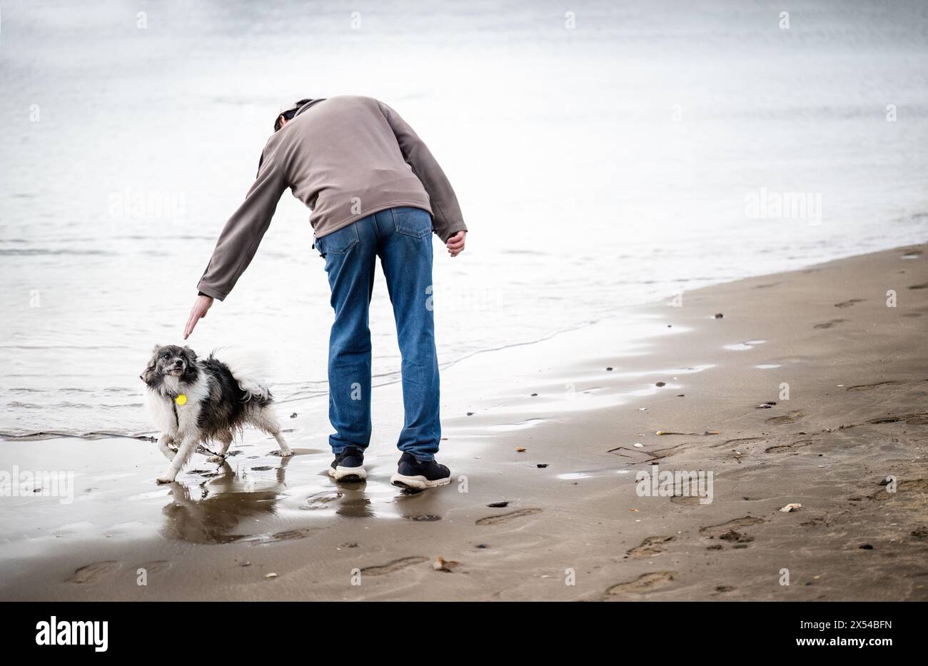 L'uomo e il suo cane camminano sulla spiaggia. Auckland. Foto Stock