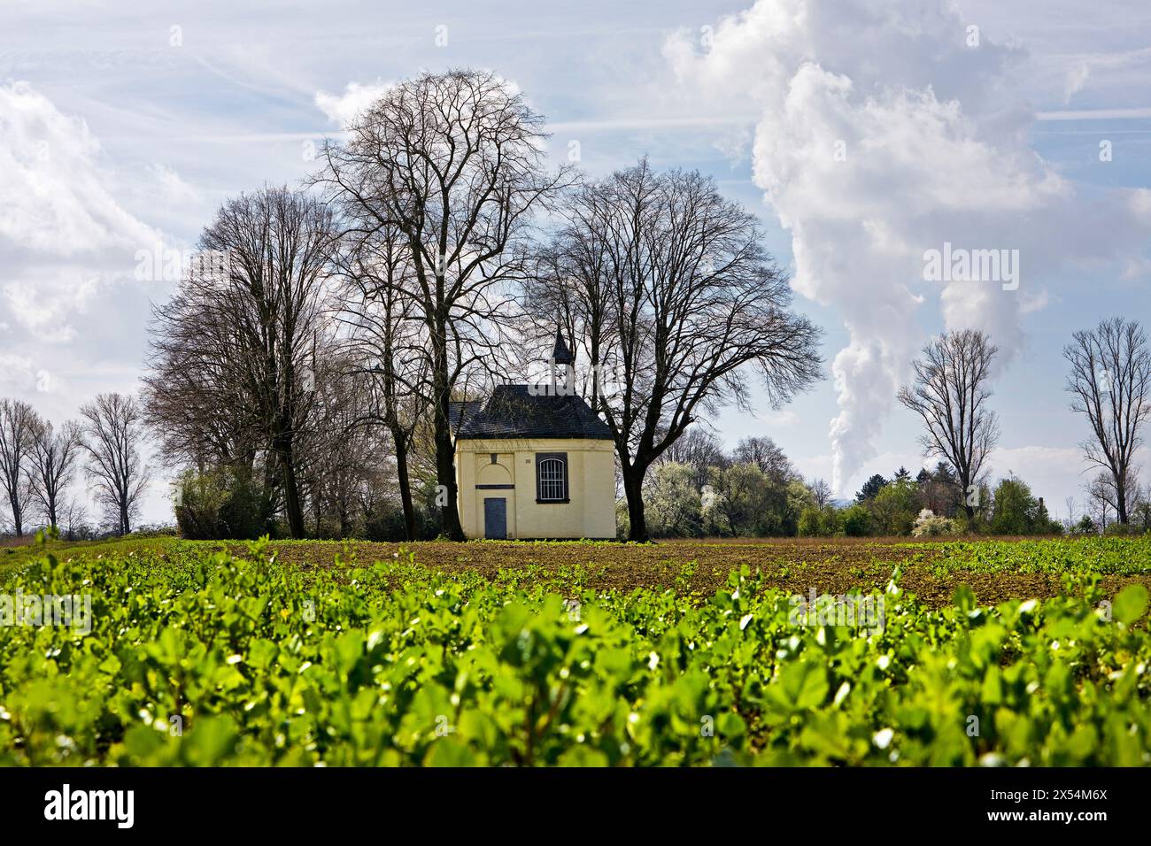 Cappella del castello di Horr House, Germania, Renania settentrionale-Vestfalia, basso Reno, Grevenbroich Foto Stock