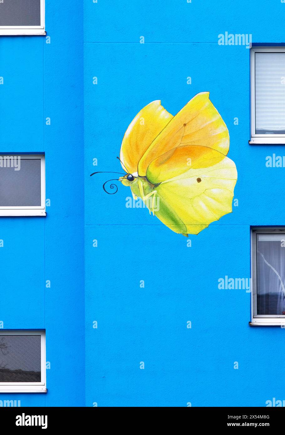 Casa dei girasoli, pietra gialla, dipinta sulla facciata di un alto edificio, Germania, Renania settentrionale-Vestfalia, Bergisches Land, Wuppertal Foto Stock