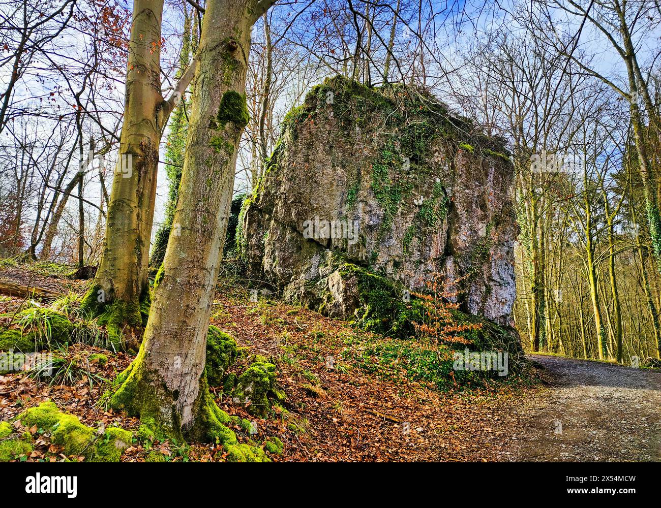 Formazione rocciosa calcarea vicino alla grotta di Feldhoff in primavera, Germania, Renania settentrionale-Vestfalia, Sauerland, Balve Foto Stock