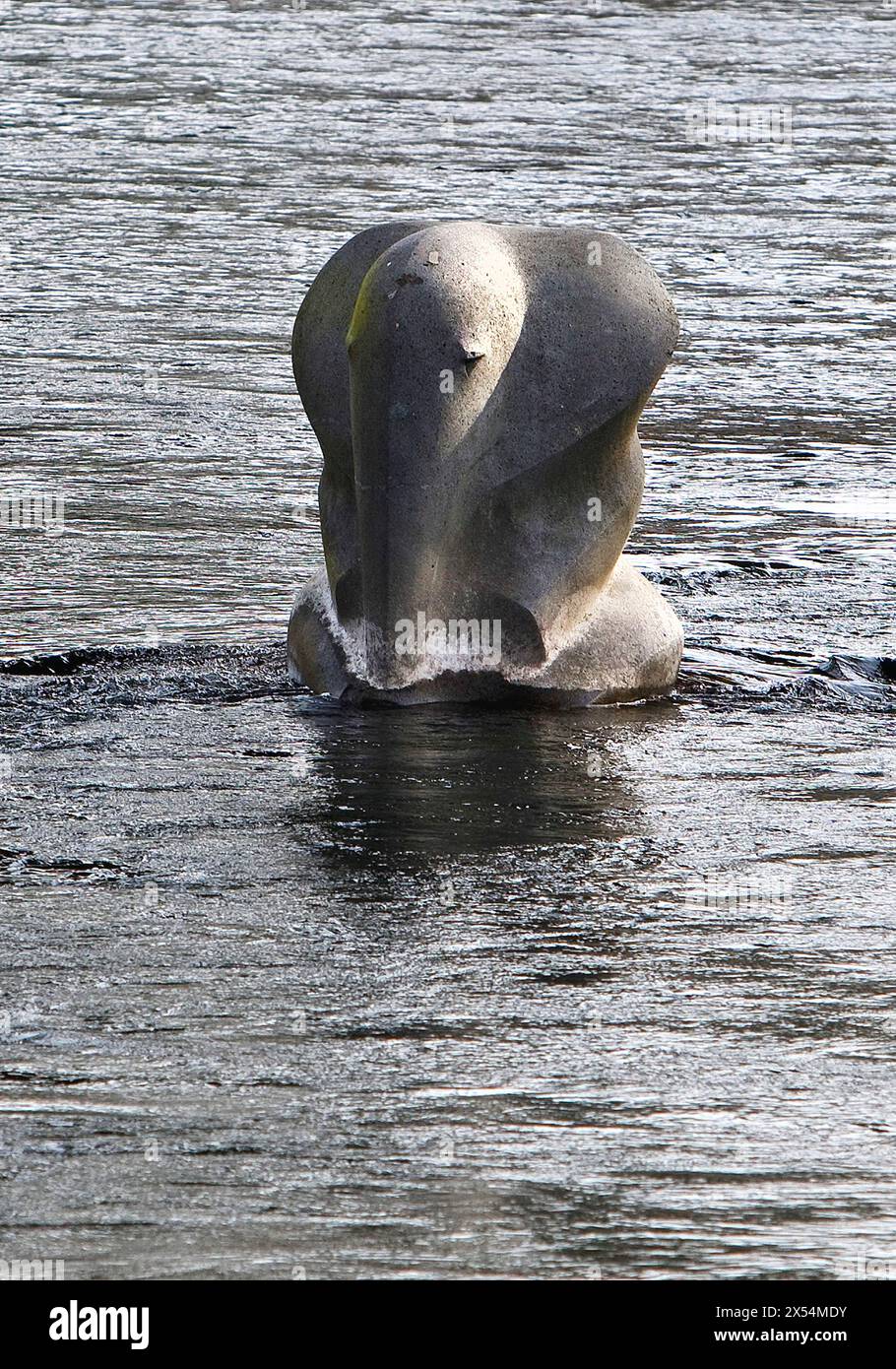 Scultura a forma di elefante nel torrente, che ricorda il salto dell'elefante femmina Tuffi, Germania, Renania settentrionale-Vestfalia, Bergisches Foto Stock