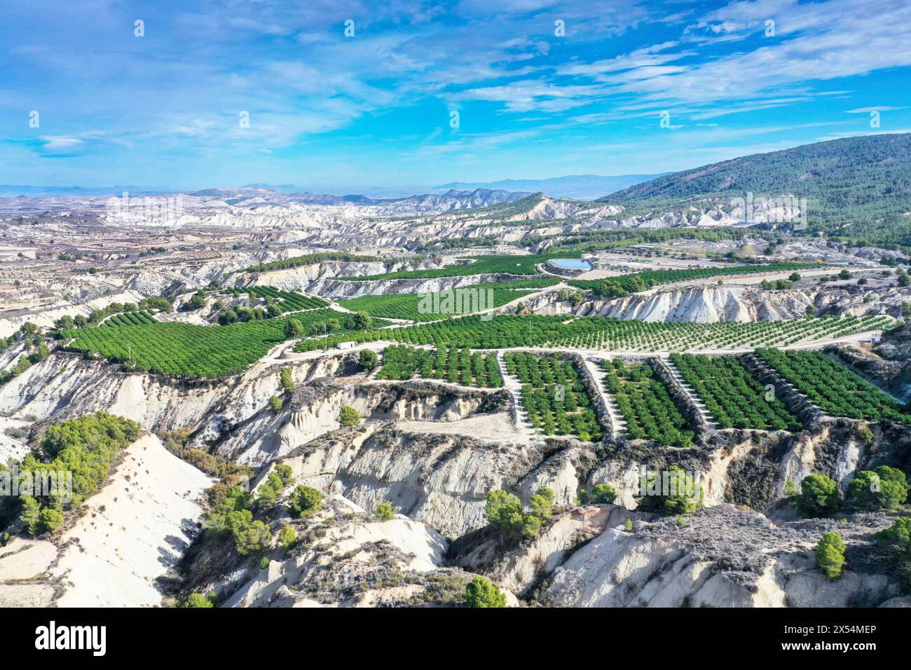 Aridi calanchi e utilizzo parziale, foto aeree, Spagna, Andalusia, Barrancos de Gebas Foto Stock