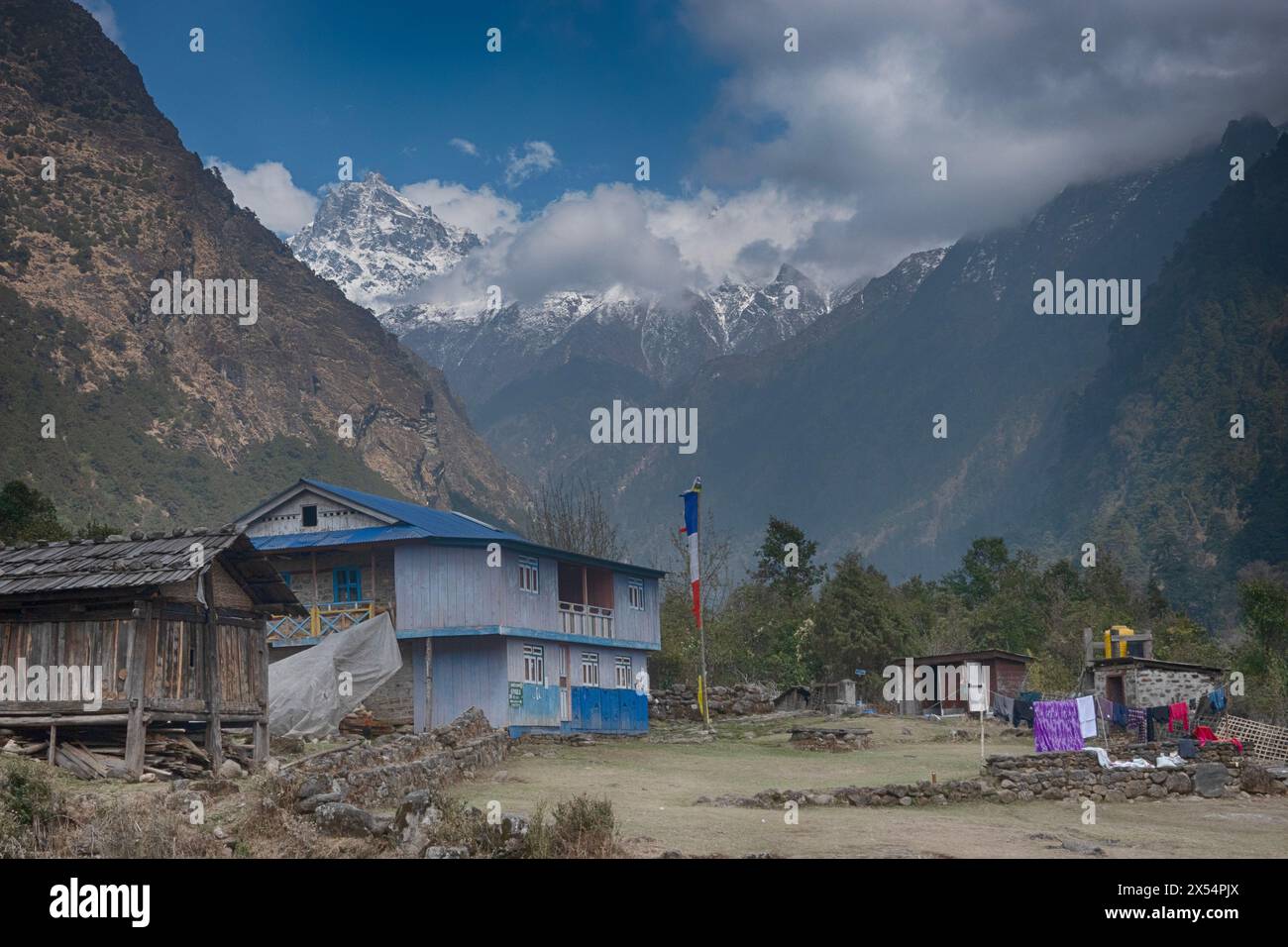 Escursione in casa del tè a Kangchenjunga (Kanchenjunga) , Gyabla, Nepal Foto Stock