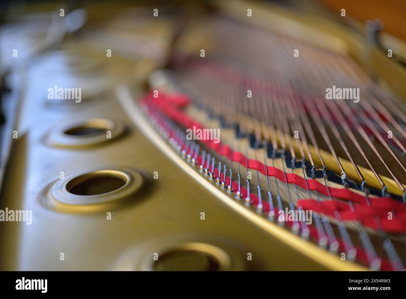 Dettaglio delle corde e della cornice all'interno di un pianoforte a coda Steinway, che mostra la maestria artigianale. Foto Stock