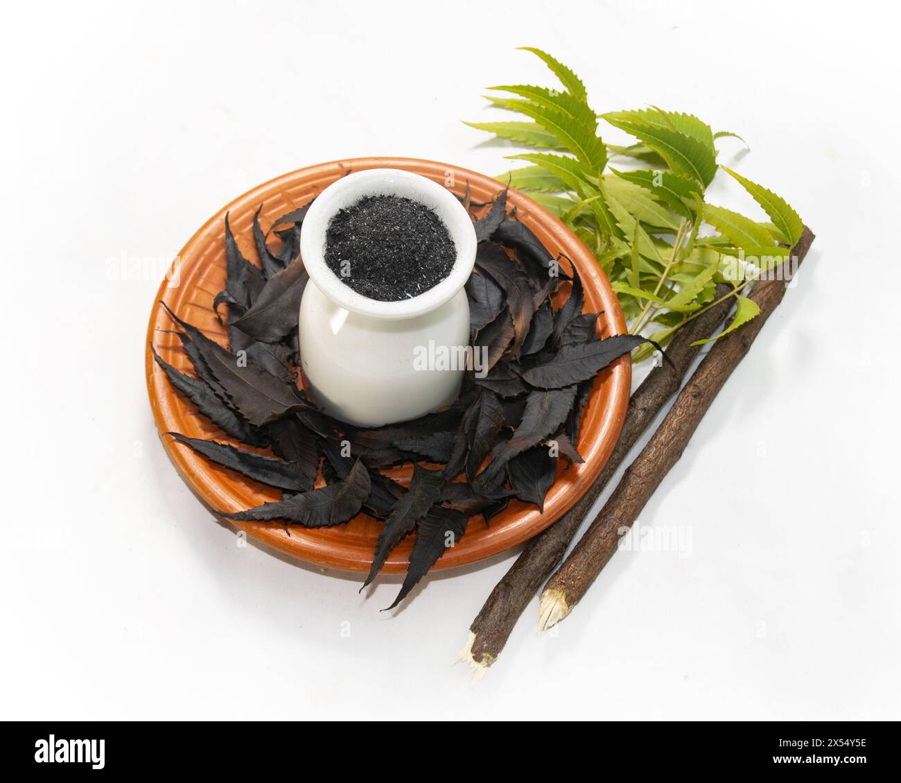 Neem Datun, dente nero in polvere con foglie di Neem, bastoncino di Neem e foglie di neem tostate su sfondo bianco. In Bengali Dater Majon, Kalo Nimer Majon. it Foto Stock