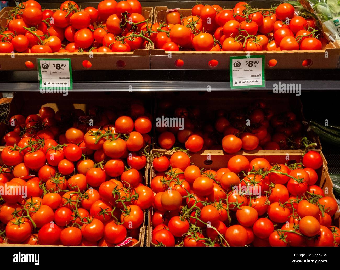 Pomodori freschi coltivati in Australia in un supermercato di Brisbane, Australia Foto Stock