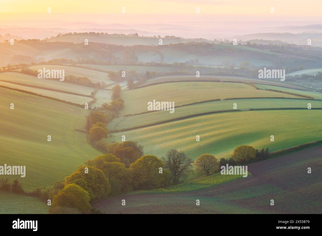 Splendida alba primaverile su terreni agricoli ondulati, Crediton, Devon, Inghilterra. Primavera (aprile) 2024. Foto Stock