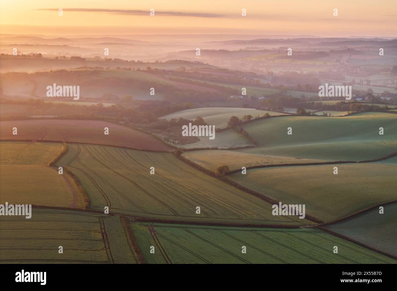 Splendida alba primaverile su terreni agricoli ondulati, Crediton, Devon, Inghilterra. Primavera (aprile) 2024. Foto Stock