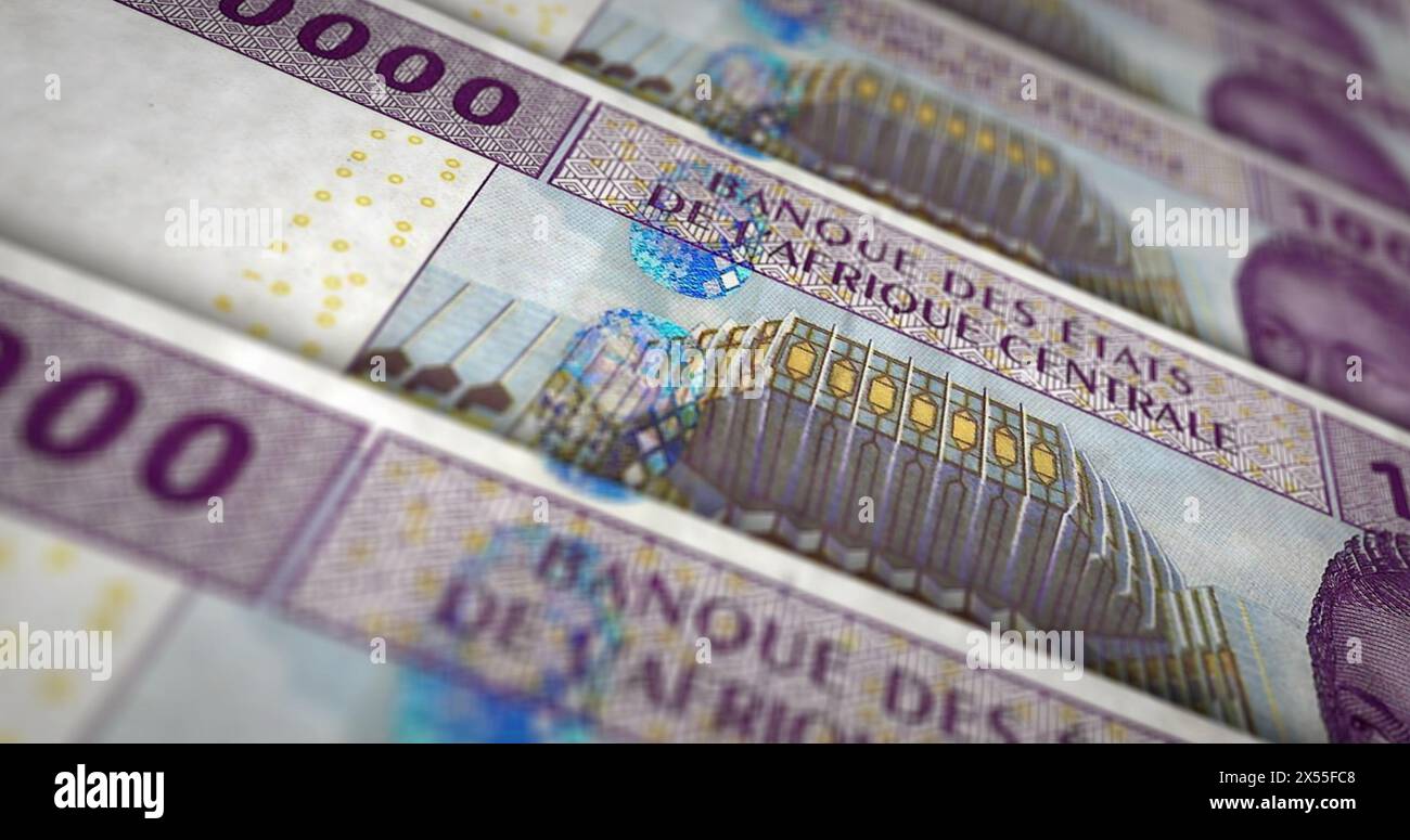 CFA Centrafricana denaro franco Camerun Ciad Congo Gabon pack illustrazione 3d. 10000 pile di banconote XAF. Concetto di finanziamento, cassa, economia cr Foto Stock